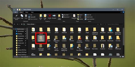 app d&b hoovers|appdata windows 10.